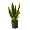 14" Potted Variegated Snake Plant 1 14" Potted Variegated Snake Plant -Michaels D294010S 1