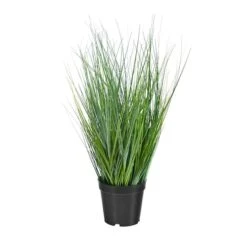 21" Potted Onion Grass Plant