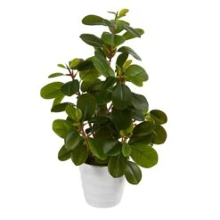 16" Peperomia Plant In Decorative Planter -Michaels D294019S 1 1