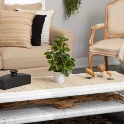 16" Peperomia Plant In Decorative Planter -Michaels D294019S 4