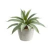 9" Potted Aloe Succulent Plant -Michaels D294029S 1