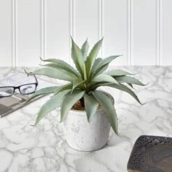 9" Potted Aloe Succulent Plant -Michaels D294029S 4