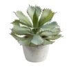 11" Potted Succulent Plant -Michaels D294034S 1