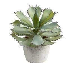 11" Potted Succulent Plant