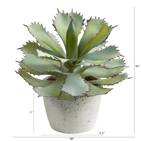 11" Potted Succulent Plant 5 11" Potted Succulent Plant - Image 3