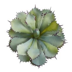 11" Potted Succulent Plant 10 11" Potted Succulent Plant -Michaels D294034S 3