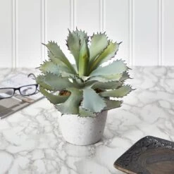 11" Potted Succulent Plant 11 11" Potted Succulent Plant -Michaels D294034S 4