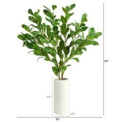21" Salal Plant In Decorative White Planter 8 21" Salal Plant In Decorative White Planter -Michaels D294042S 2