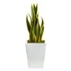 2.5ft. Snake Plant In White Metal Planter -Michaels D294091S 1