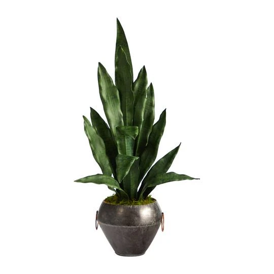 2.5ft. Snake Plant In Decorative Metal Bowl 4 2.5ft. Snake Plant In Decorative Metal Bowl - Image 2