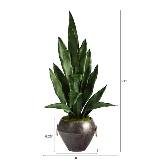 2.5ft. Snake Plant In Decorative Metal Bowl 5 2.5ft. Snake Plant In Decorative Metal Bowl - Image 3