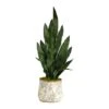2.5ft. Snake Plant In Decorative Vintage Planter -Michaels D294103S 1