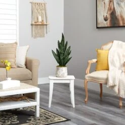 2.5ft. Snake Plant In Decorative Vintage Planter -Michaels D294103S 4