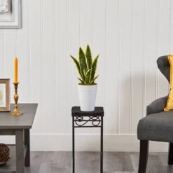 18" Snake Plant In Decorative White Planter -Michaels D294113S 3