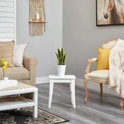 18" Snake Plant In Decorative White Planter -Michaels D294113S 4