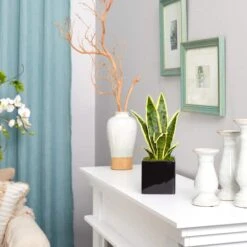 16" Snake Plant In Decorative Black Planter 11 16" Snake Plant In Decorative Black Planter -Michaels D294115S 4