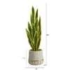 3ft. Snake Plant In Stoneware Planter With Gold Trim -Michaels D294118S 2