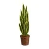 2.5ft. Snake Plant In Decorative Basket Planter -Michaels D294121S 1