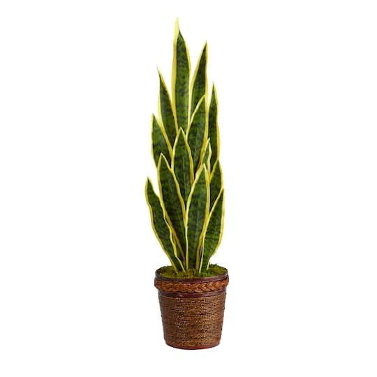 2.5ft. Snake Plant In Decorative Basket Planter 3 2.5ft. Snake Plant In Decorative Basket Planter