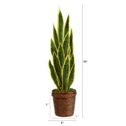 2.5ft. Snake Plant In Decorative Basket Planter 9 2.5ft. Snake Plant In Decorative Basket Planter -Michaels D294121S 2