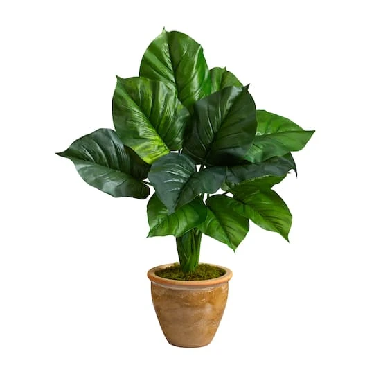 2.5ft. Large Philodendron Leaf Plant In Decorative Planter 3 2.5ft. Large Philodendron Leaf Plant In Decorative Planter