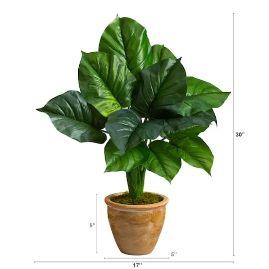2.5ft. Large Philodendron Leaf Plant In Decorative Planter 5 2.5ft. Large Philodendron Leaf Plant In Decorative Planter - Image 3