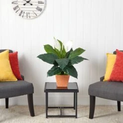 2ft. Peace Lily Plant In Terra Cotta Planter -Michaels D294151S 3