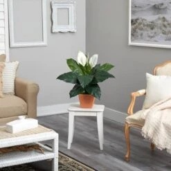 2ft. Peace Lily Plant In Terra Cotta Planter -Michaels D294151S 4