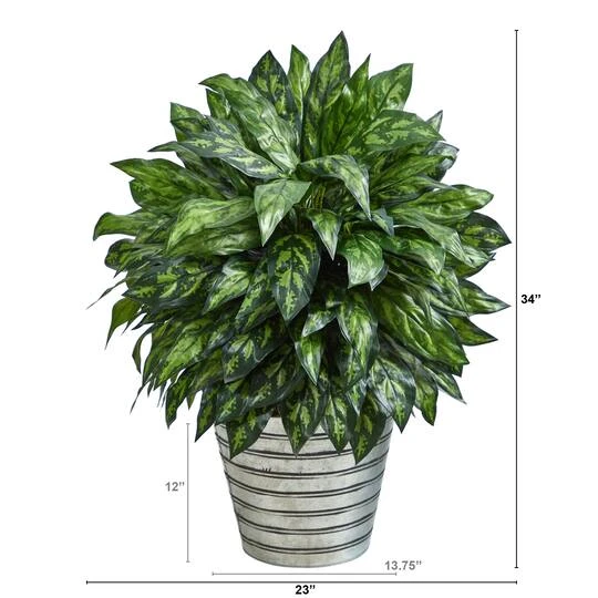 3ft. Silver King Plant In Decorative Tin Bucket 5 3ft. Silver King Plant In Decorative Tin Bucket - Image 3