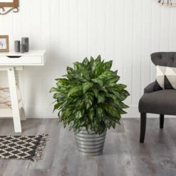 3ft. Silver King Plant In Decorative Tin Bucket 10 3ft. Silver King Plant In Decorative Tin Bucket -Michaels D294154S 3
