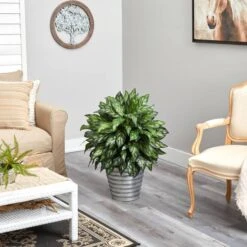 3ft. Silver King Plant In Decorative Tin Bucket 11 3ft. Silver King Plant In Decorative Tin Bucket -Michaels D294154S 4