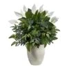 3ft. Mixed Peace Lily Plant In Decorative White Planter -Michaels D294163S 1