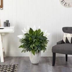 3ft. Mixed Peace Lily Plant In Decorative White Planter 10 3ft. Mixed Peace Lily Plant In Decorative White Planter -Michaels D294163S 3
