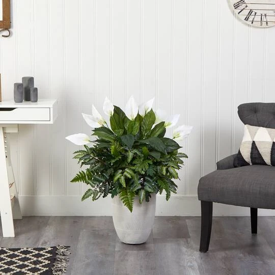 3ft. Mixed Peace Lily Plant In Decorative White Planter 6 3ft. Mixed Peace Lily Plant In Decorative White Planter - Image 4