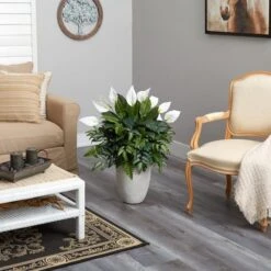 3ft. Mixed Peace Lily Plant In Decorative White Planter 11 3ft. Mixed Peace Lily Plant In Decorative White Planter -Michaels D294163S 4