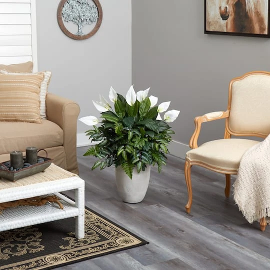 3ft. Mixed Peace Lily Plant In Decorative White Planter 7 3ft. Mixed Peace Lily Plant In Decorative White Planter - Image 5