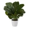 11" Fiddle Leaf Fig Plant In Decorative White Planter 1 11" Fiddle Leaf Fig Plant In Decorative White Planter -Michaels D294169S 1