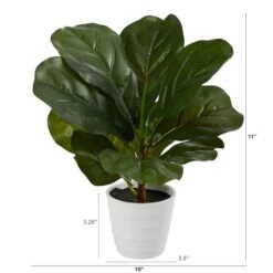 11" Fiddle Leaf Fig Plant In Decorative White Planter -Michaels D294169S 2