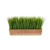 10" Vanilla Grass Plant In Decorative Planter -Michaels D294179S 1
