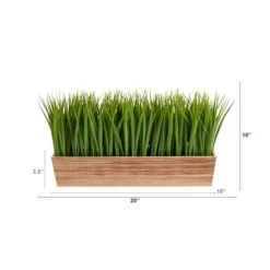 10" Vanilla Grass Plant In Decorative Planter -Michaels D294179S 2