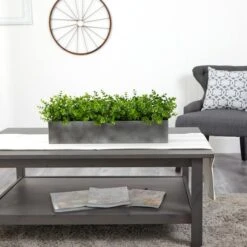 9" Potted Eucalyptus Plant -Michaels D294182S 4