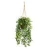 20" Baby's Tear Plant In Hanging Basket -Michaels D294185S 1