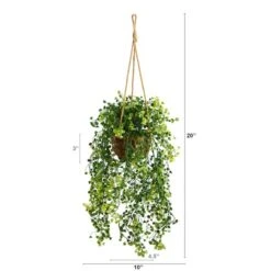 20" Baby's Tear Plant In Hanging Basket -Michaels D294185S 2