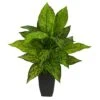 21" Dumb Cane Plant In Decorative Black Planter 1 21" Dumb Cane Plant In Decorative Black Planter -Michaels D294186S 1