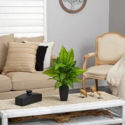 21" Dumb Cane Plant In Decorative Black Planter -Michaels D294186S 4