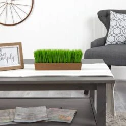 5" Grass Plant In Decorative Planter -Michaels D294187S 4