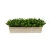 8" Eucalyptus In Decorative Planter -Michaels D294191S 1