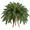 2.5ft. Boston Fern In White Planter With Legs -Michaels D294208S 1