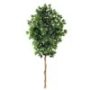 6ft. Single Ficus Tree -Michaels D294253S 1