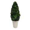 Hello Honey® 17'' Boxwood Cone Topiary In White Clay Pot -Michaels D318984S 1
